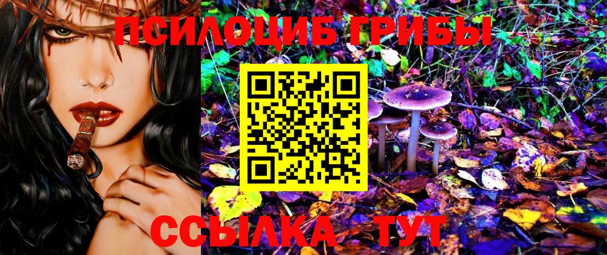 Галлюциногенные грибы Cubensis Подольск
