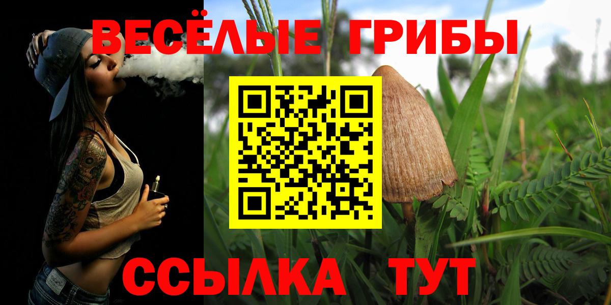Подольск  Галлюциногенные грибы Psilocybe  купить  цена  Вход с VPN 